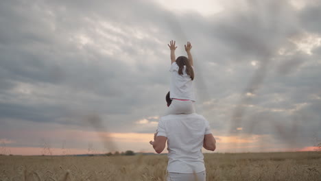 daddy carries on his shoulders his beloved little healthy daughter in sun. in slow motion the daughter walks with her father on the field and free and happy waves her hands up. walking in field.