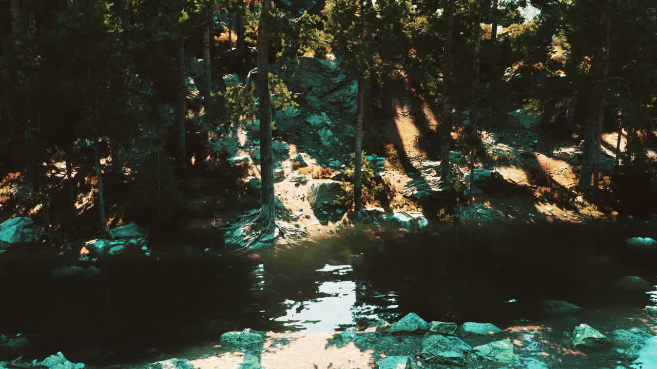 bosque oscuro y misterioso con agua tranquila