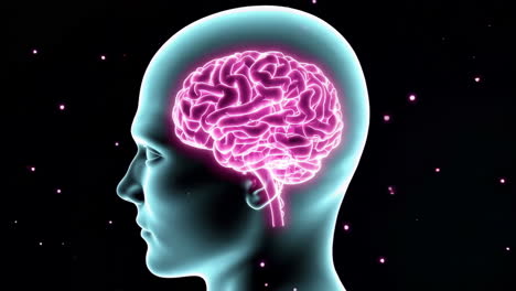glowing human brain in profile