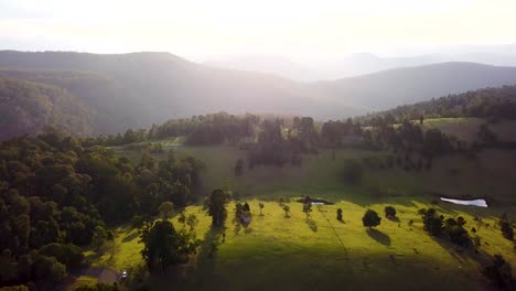 Parque-Nacional-Lamington-En-Australia,-Queensland