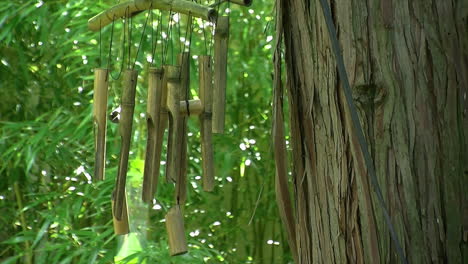 bamboo wind chimes hang from a hinoki tree