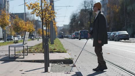 hombre con discapacidad visual cruzando la carretera con su palo con la ayuda de la acera táctil para peatones para discapacitados visuales en la ciudad.