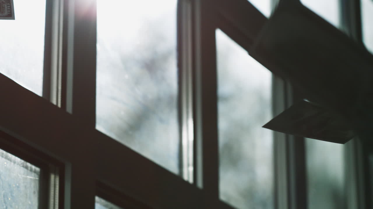 창문에서 매달린 달러 지폐