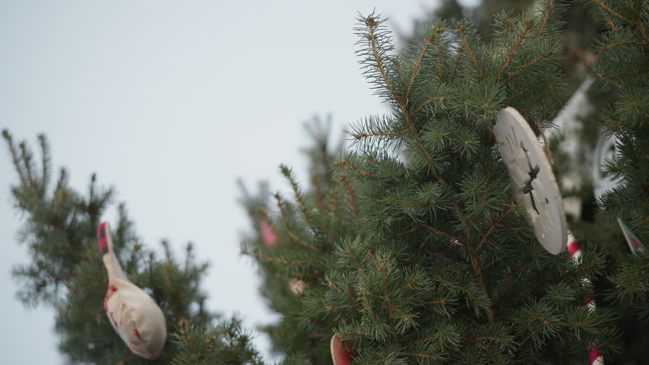 красиво украшенное праздничное дерево с ручными украшениями и нежными украшениями, солнечный свет фильтруется через пышные зеленые сосновые ветви, усиливая естественную текстуру и добавляя теплую атмосферу