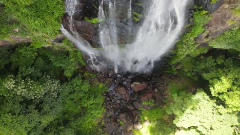 water cascading down towards a natural rainforest swimming hole deep in a tropical jungle valley