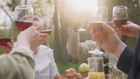 multirracial friends toasting with red wine while sitting at table during an outdoor party in the park 2