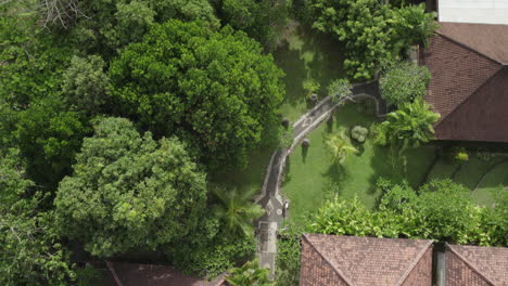 Man-jogging-on-the-alley-between-villas-and-palm-trees-at-a-luxury-resort-in-Bali,-drone-top-down-view