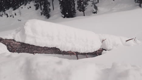 wooden log with rough bark covered by puffy soft white snow close up