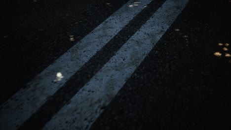 CGI-Rendering-Einer-Asphaltstraße-Mit-Baumblattschatten-Und-Weißen-Linien,-Nahaufnahme