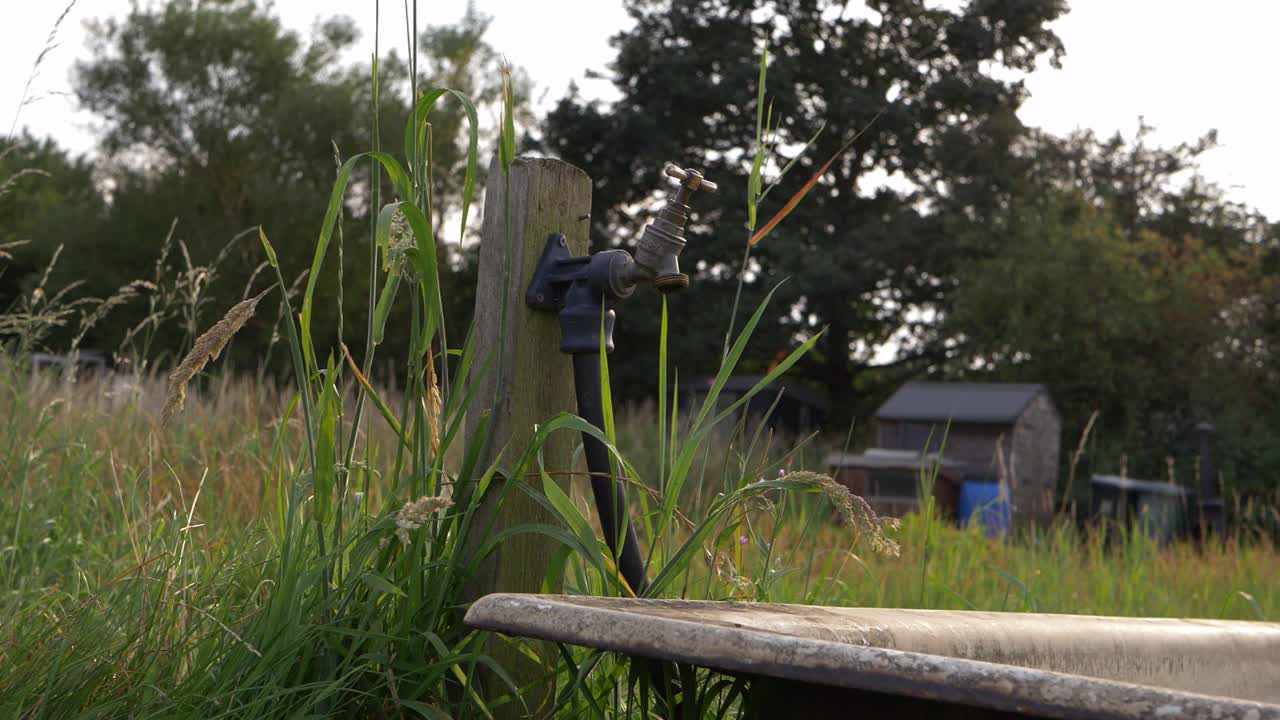 할당량 중간 패닝 샷의 수도꼭지 탭