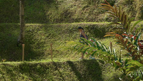 Mujer-Asiática-Con-Su-Hija-Caminando-Sobre-Arrozales-En-Terrazas-En-Alas-Harum-Bali,-Indonesia