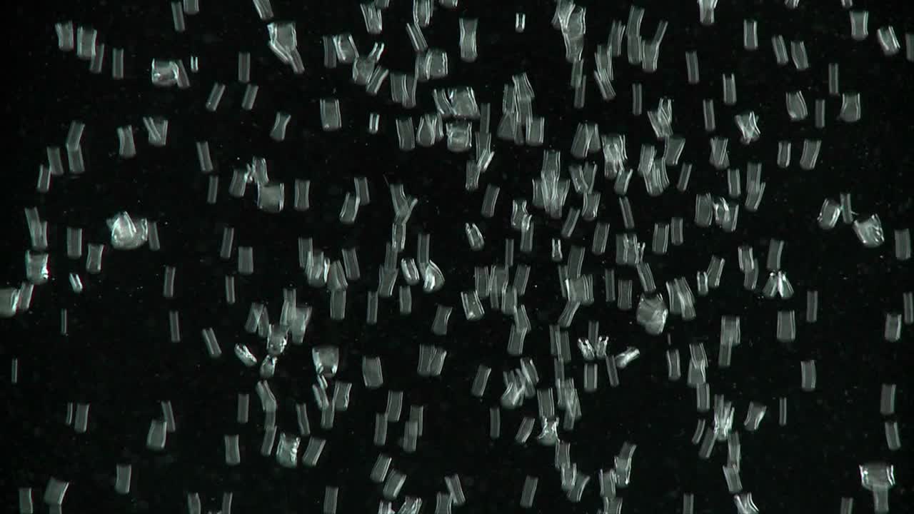 작은 기포가 검은 배경 위로 올라간다