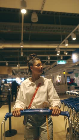 woman shopping in a supermarket