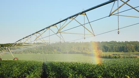 crop irrigation using the center pivot sprinkler system