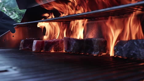 thick juicy filet mignon steaks cooking on flame of fire in outdoor barbeque grill in backyard, close up