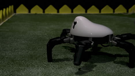 robot araña en un campo de hierba