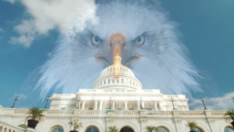 águila-Calva-Y-Edificio-Del-Capitolio-De-Estados-Unidos-En-Washington-Dc