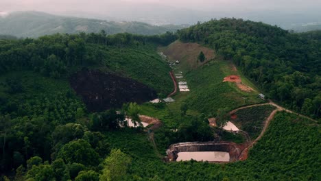 desde el aire: campos de arroz en el imperio de los elefantes de chiang may, tailandia