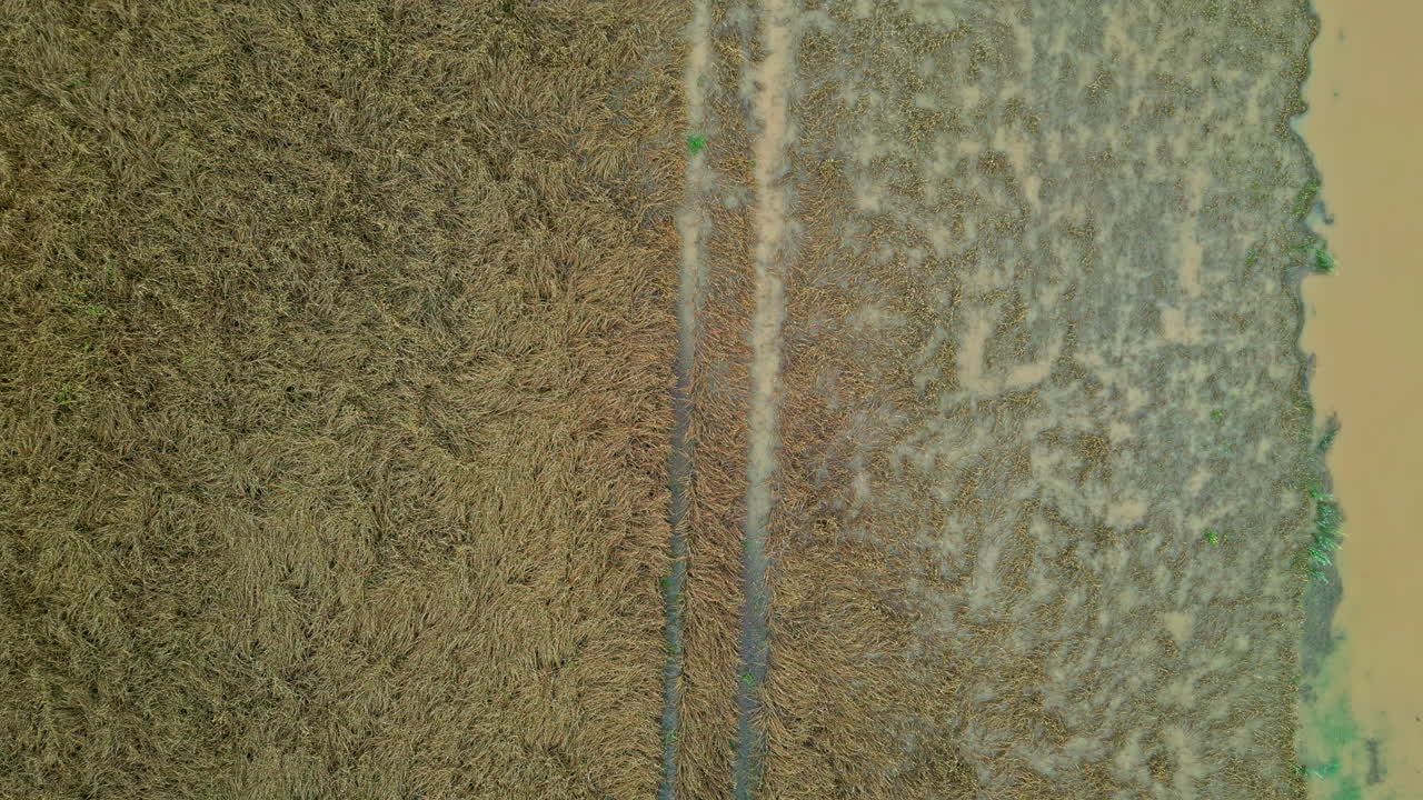 fotografía aérea de arriba hacia abajo de una granja agrícola inundada