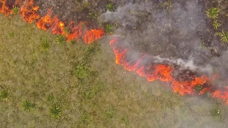 aerial birdseye view of fire, tilt up revealing landscape with lots of smoke