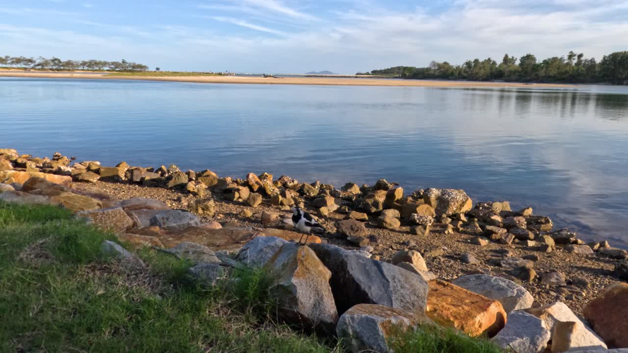 un pájaro vuela desde una orilla rocosa del lago.