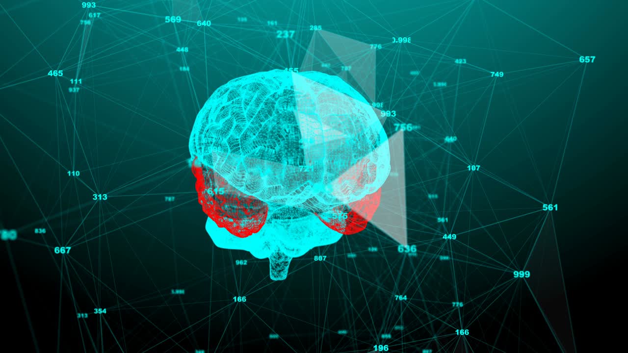 인간의 회전하는 뇌, 크서스 구조, 진화하는 뇌, 원활한 루프