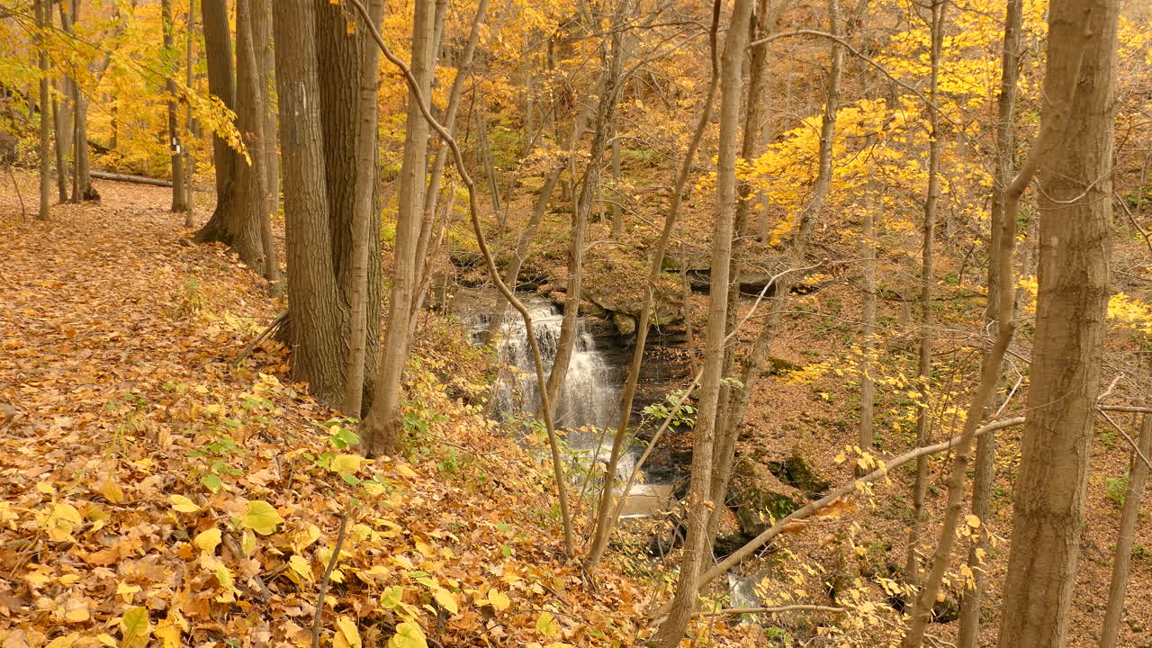 una cascada en otoño en el medio de