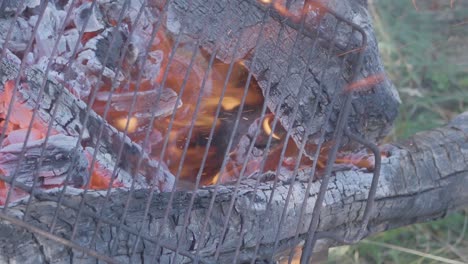troncos de madera quemando cámara lenta en una fogata con una parrilla para cocinar al aire libre