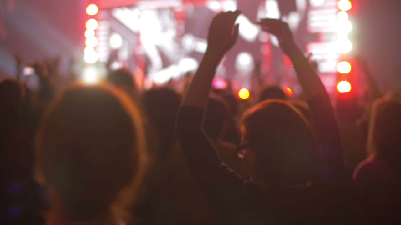 Persone che si riposano al concerto notturno