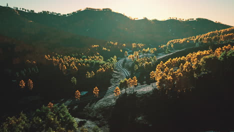 winding road through a mountain forest