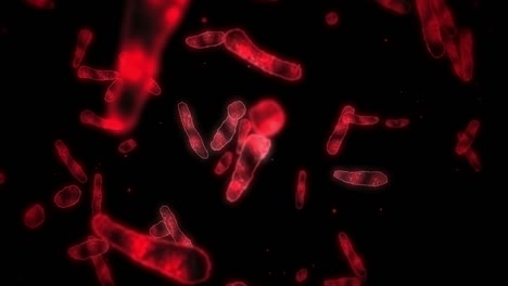 virus cell in linear shape. pathogenic viruses causing infection. loop animation of human virus. bacterial microorganism. viral disease outbreak.