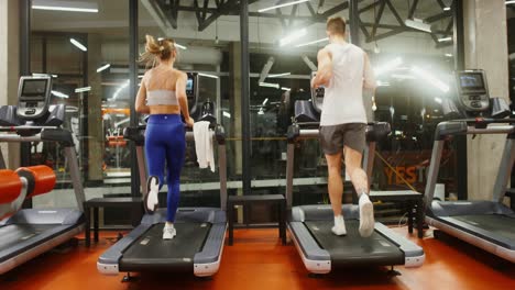 couple working out on treadmills in gym