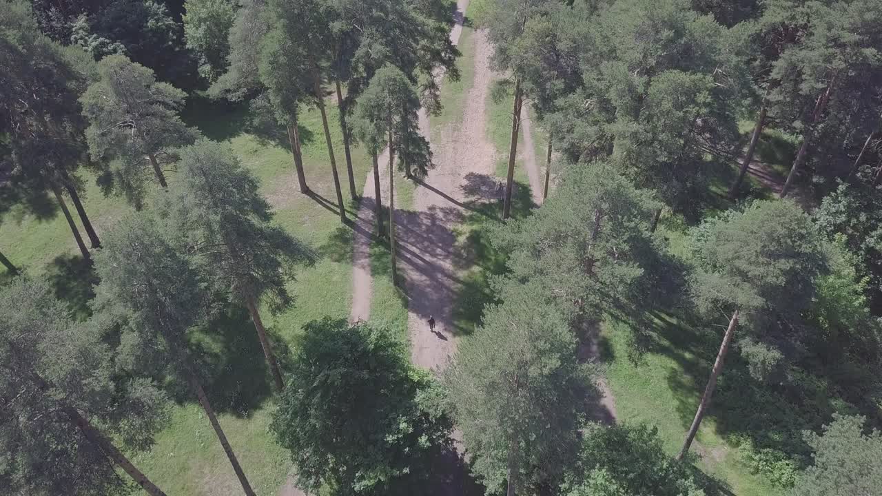 사람과 함께 숲길