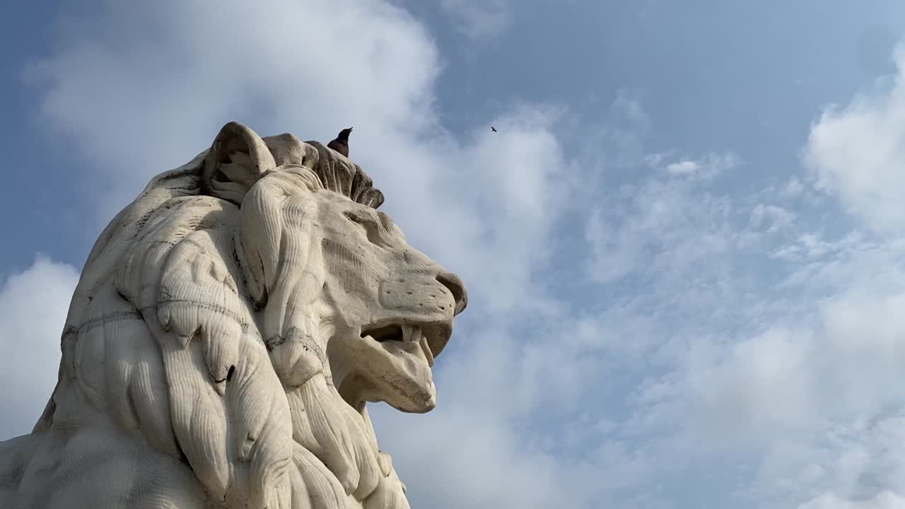 antigua estatua de león en la puerta conmemorativa de victoria, calcuta, india