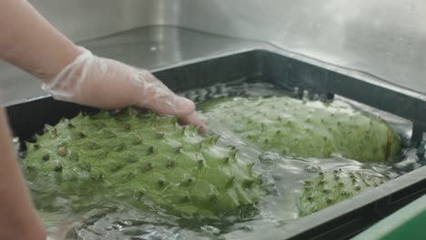 fresh soursop cleaning process in pulp factory