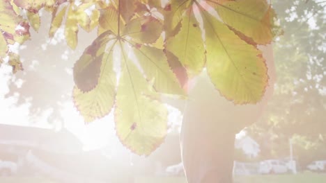 Animation-of-sunlight-and-leaves-over-male-athlete-preparing-prosthetic-leg-for-exercise-outdoors