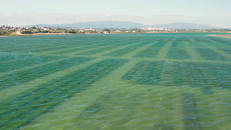 Antenne:-Aquakulturindustrie-In-Der-Lagune-Von-Alvor-In-Portugal