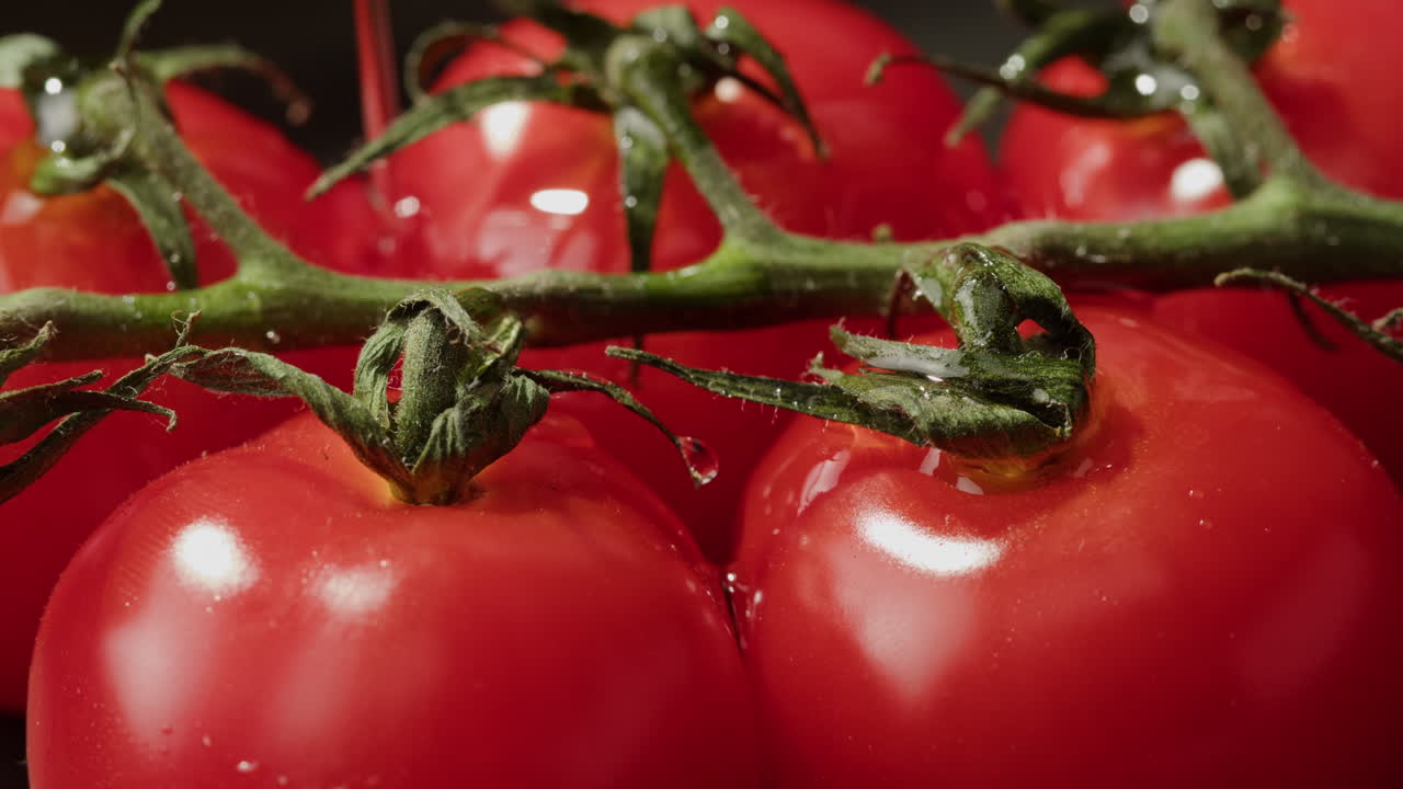 신선한 체리 토마토의 클로즈업