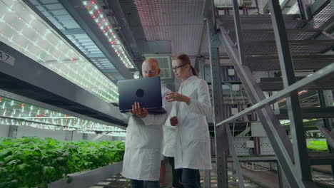 een groep mensen in witte jassen met een laptop en een tablet op een hydroponische boerderij draagt onderzoeksgegevens over groenten bij aan het datacentrum voor analyse en programmering van plantenirrigatie.