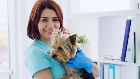 una mujer veterinaria sonriente abrazando a un yorkshire terrier
