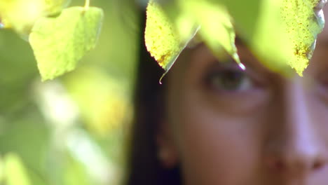 young woman hidden in the leaves of an autumn tree looks directly into the lens