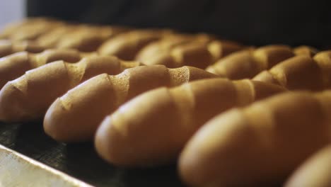 bakery products. bread production line at food processing plant. food industry