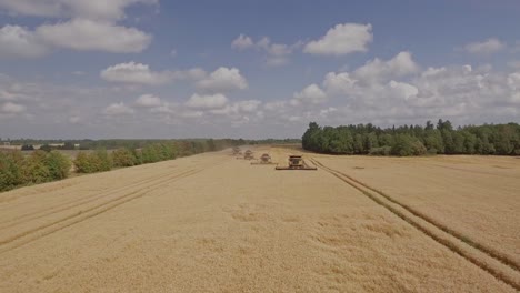 aerial view of a team of combine harvesters collecting wheat on a golden wheat field during harvest season