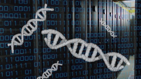 animation of dna strands, binary coding and data processing over computer servers