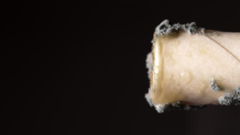 a close-up shot of a moldy paper straw, showcasing the texture against a dark backdrop.