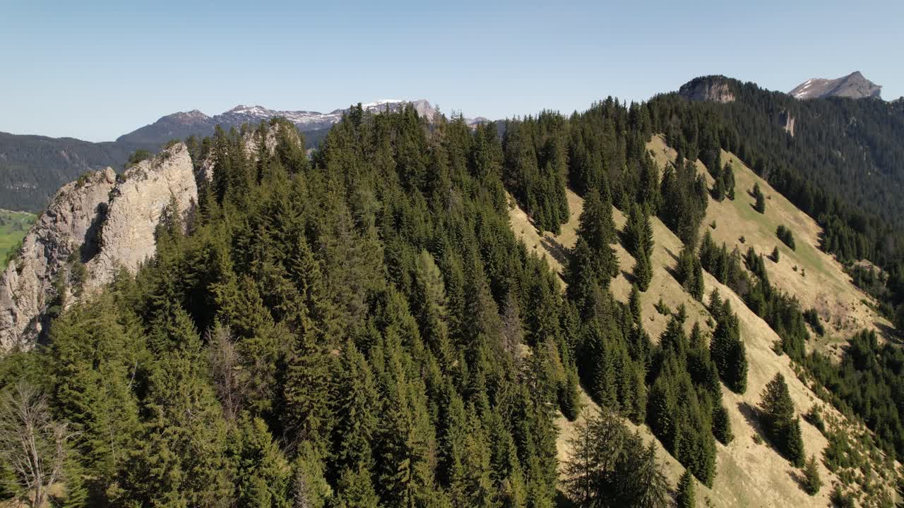 Drone view of a rugged mountain ridge with pine trees and a vertical rock wall in the Swiss Alps under clear skies, springtime