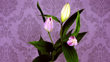 papel pintado de flores 03