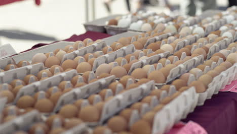 Rows of fresh farm eggs in cartons at a market