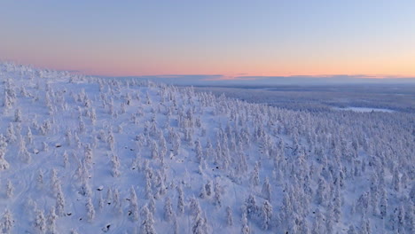 panoramic drone shot over snowy mountain forest, polar night season in lapland