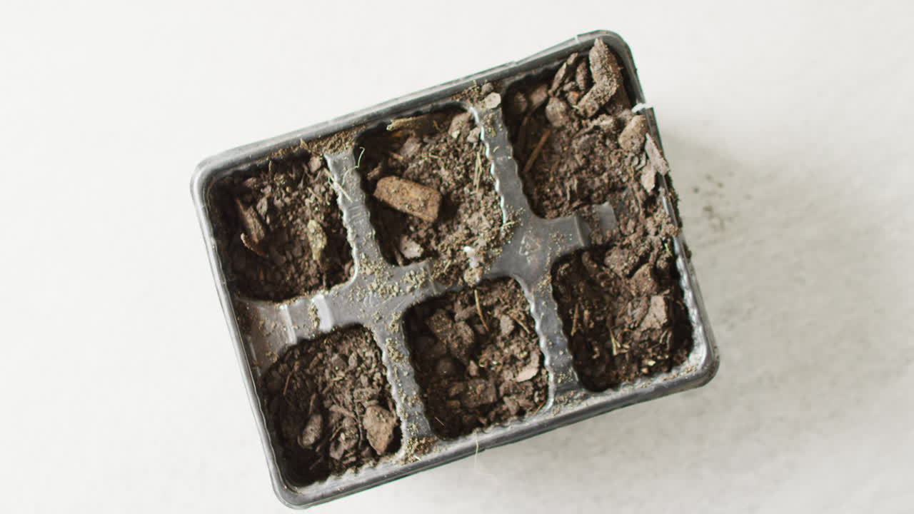 Overhead video of seedling tray filled with organic soil and bark pieces, on white background